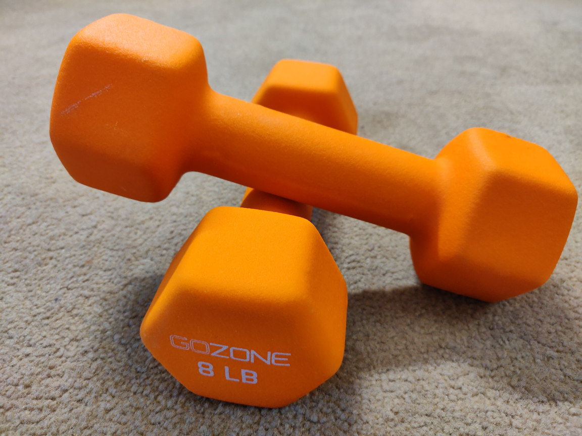 Go Zone Dumbbells (2)