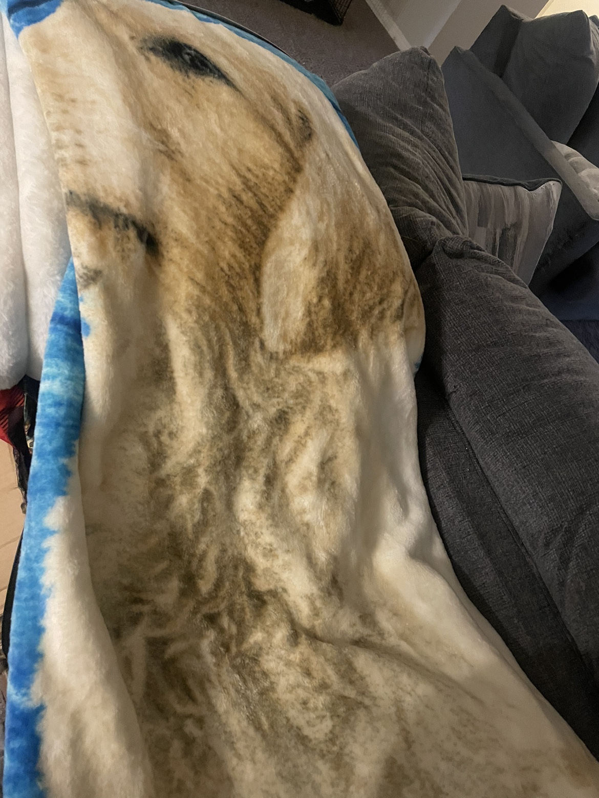 Soft and comfy brand new mink blanket with retriever on it image indicator(2)