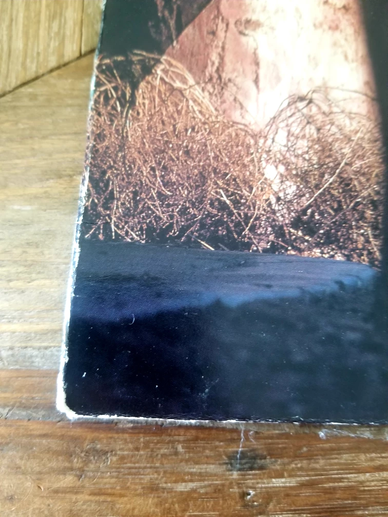 Richard Marx - Repeat Offender 90s Record Album - Vintage 12" image indicator(3)