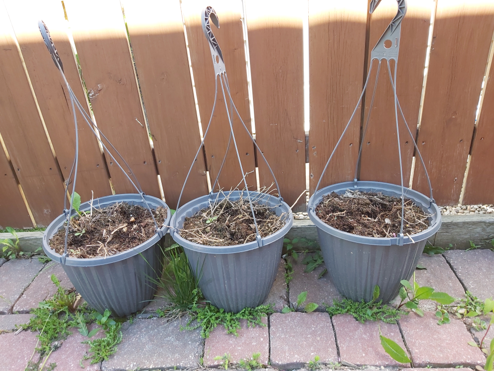 #freecycle hanging baskets with potting soil -3
