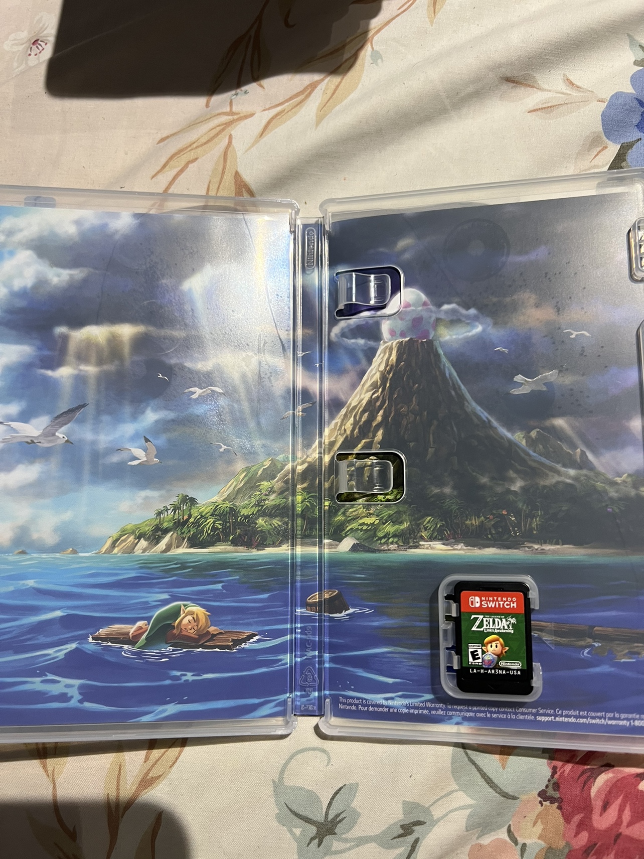 TLOZ: Link’s Awakening