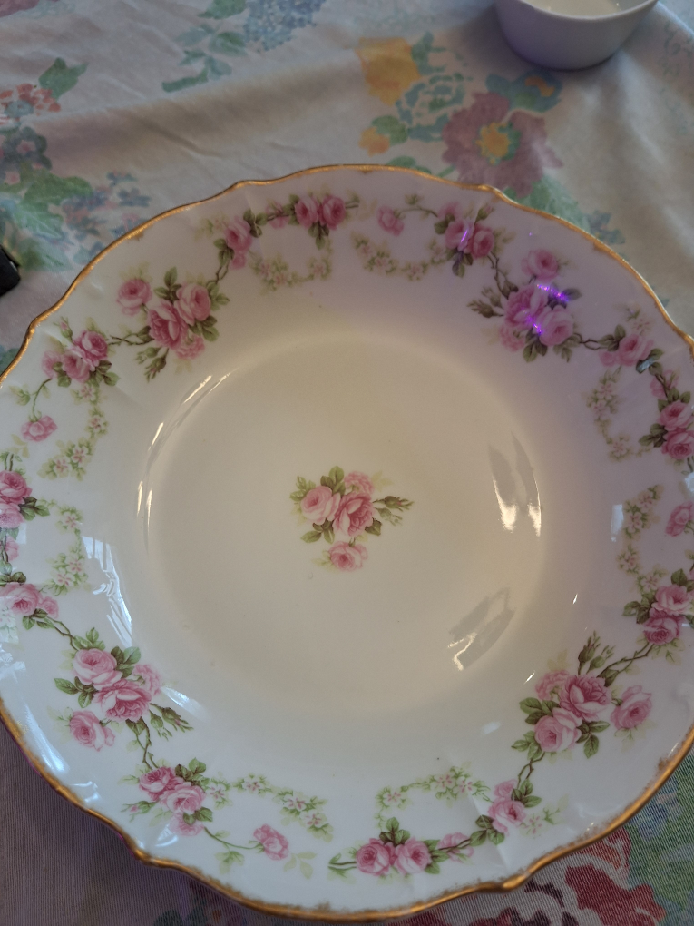 9 inches Limoges Elite work serving bowl