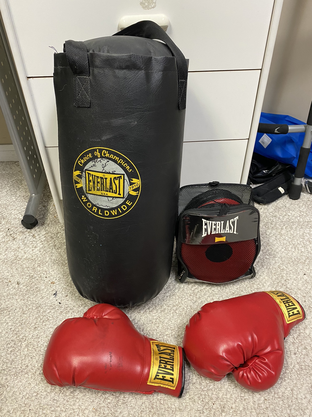 Everlast boxing bag bundle
