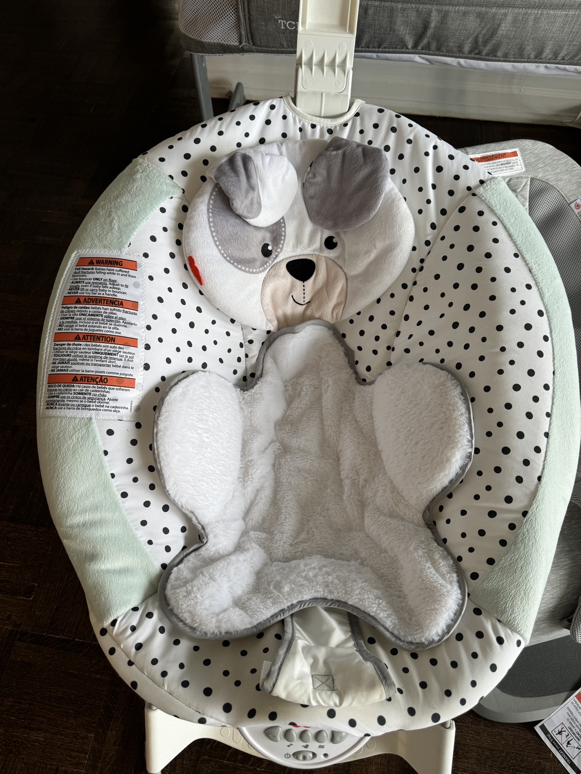 Fisher price bouncer and rocker.