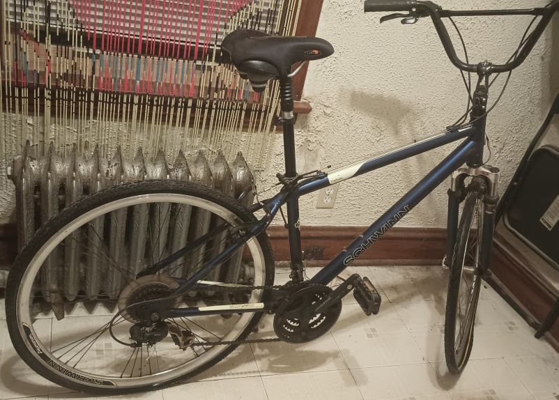 Schwinn Trailway