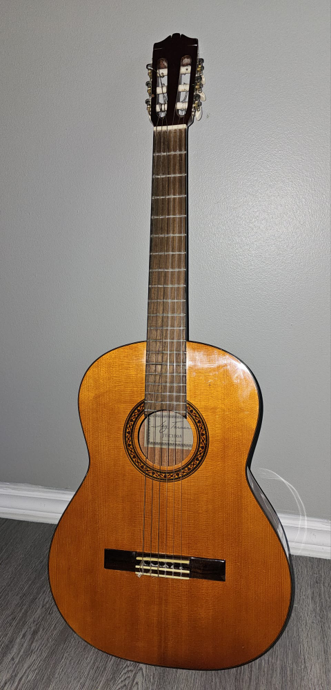 Guitar image indicator(2)