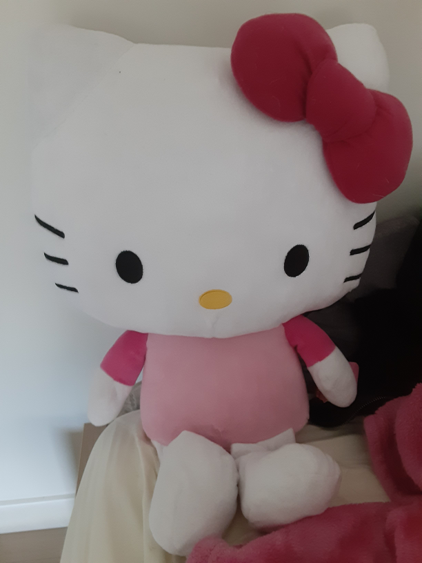 hello kitty big