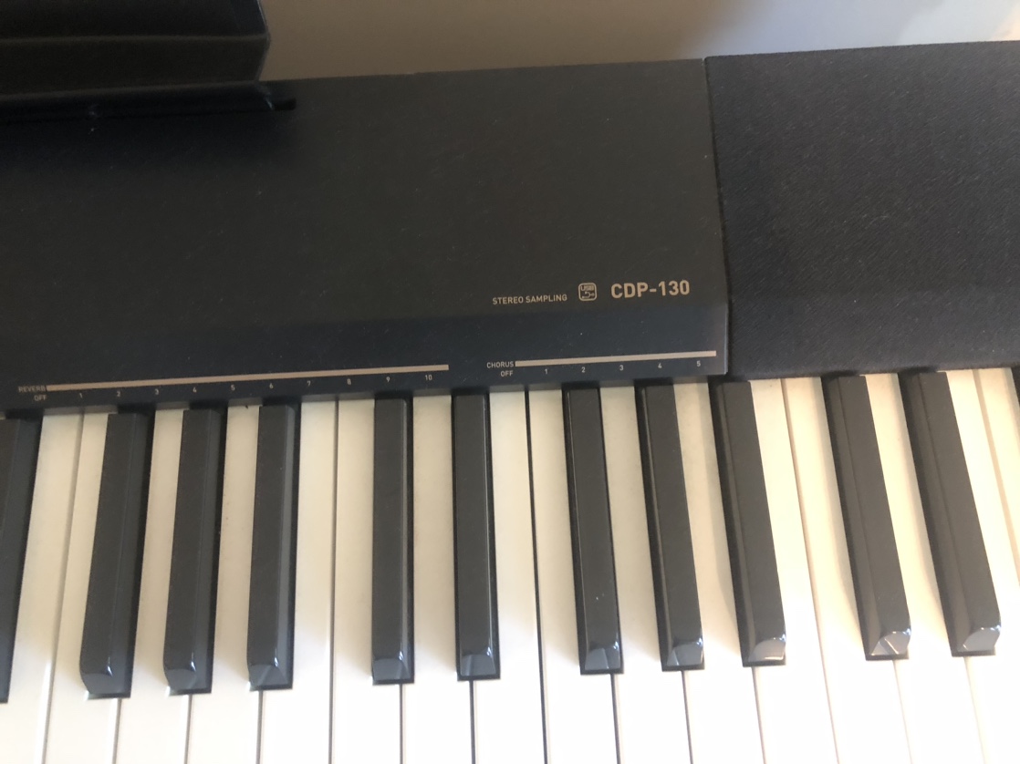 Casio Electric Piano - photo 2
