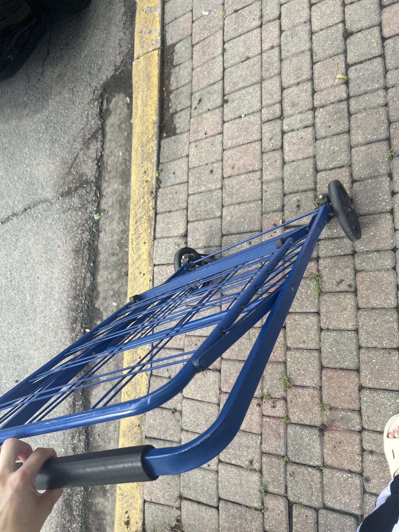 Blue Multiuse Cart - photo 4