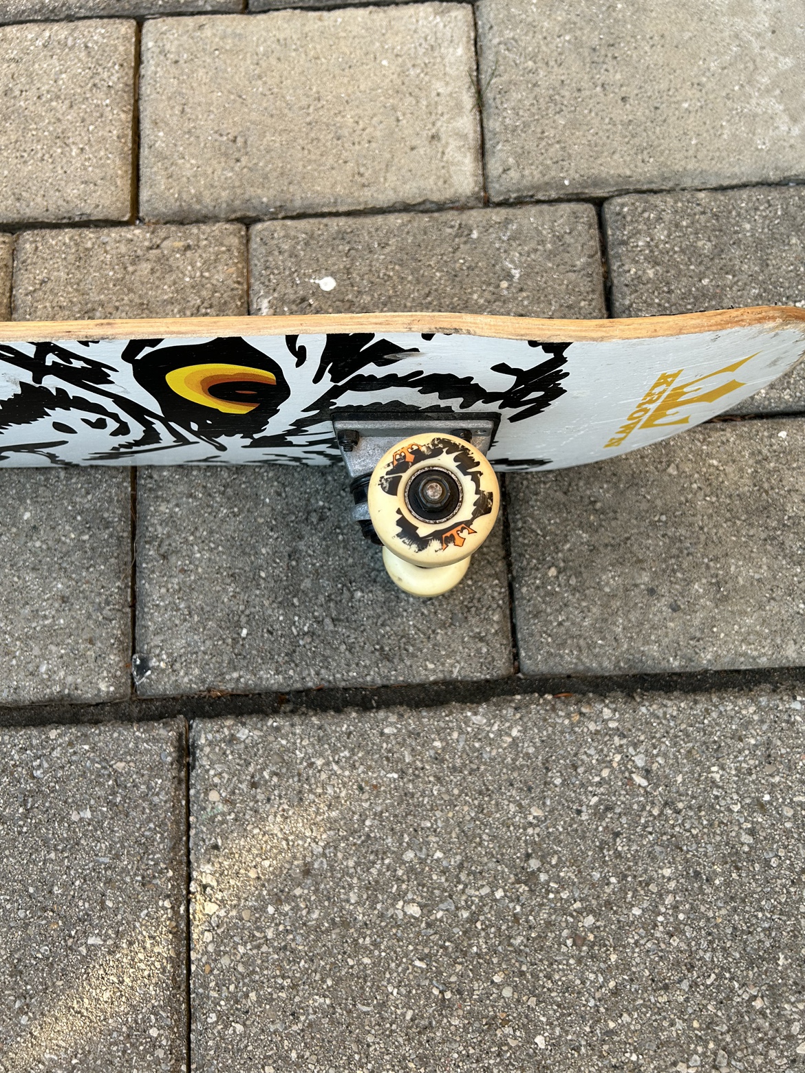 Skateboard - photo 4