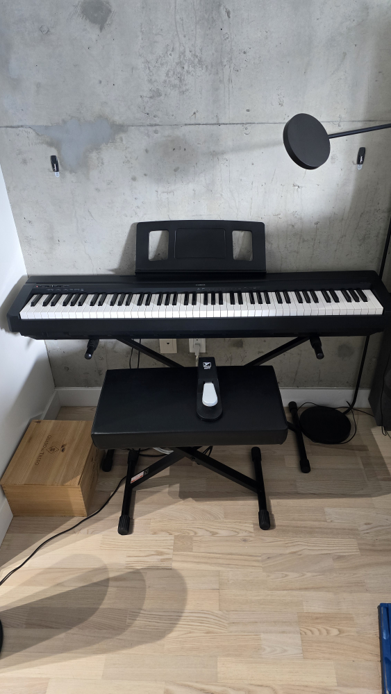 Yamaha P-45 88 Key Contemporary Digital Piano thumbnail