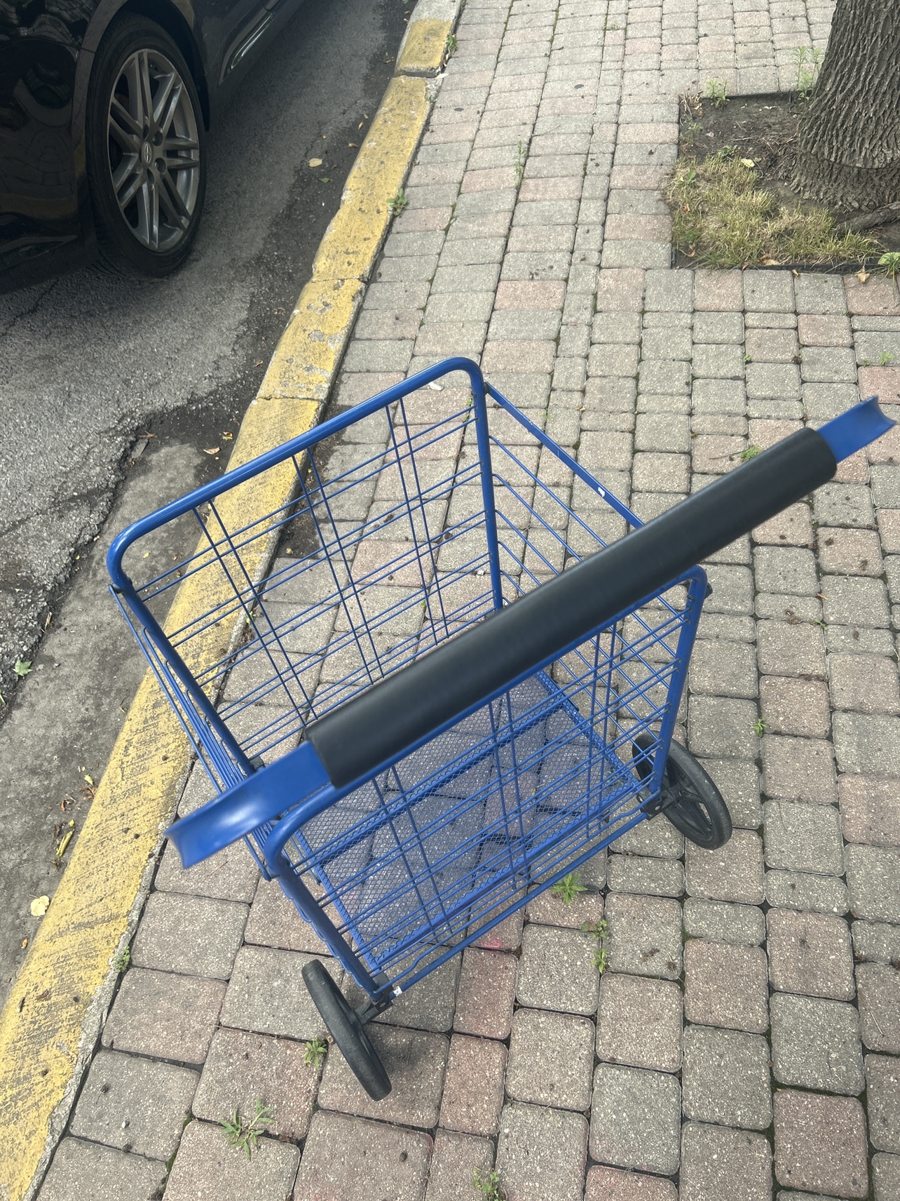 Blue Multiuse Cart - photo 3