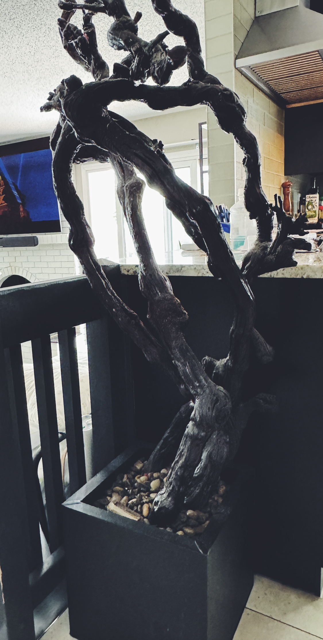Tree Branch Decor