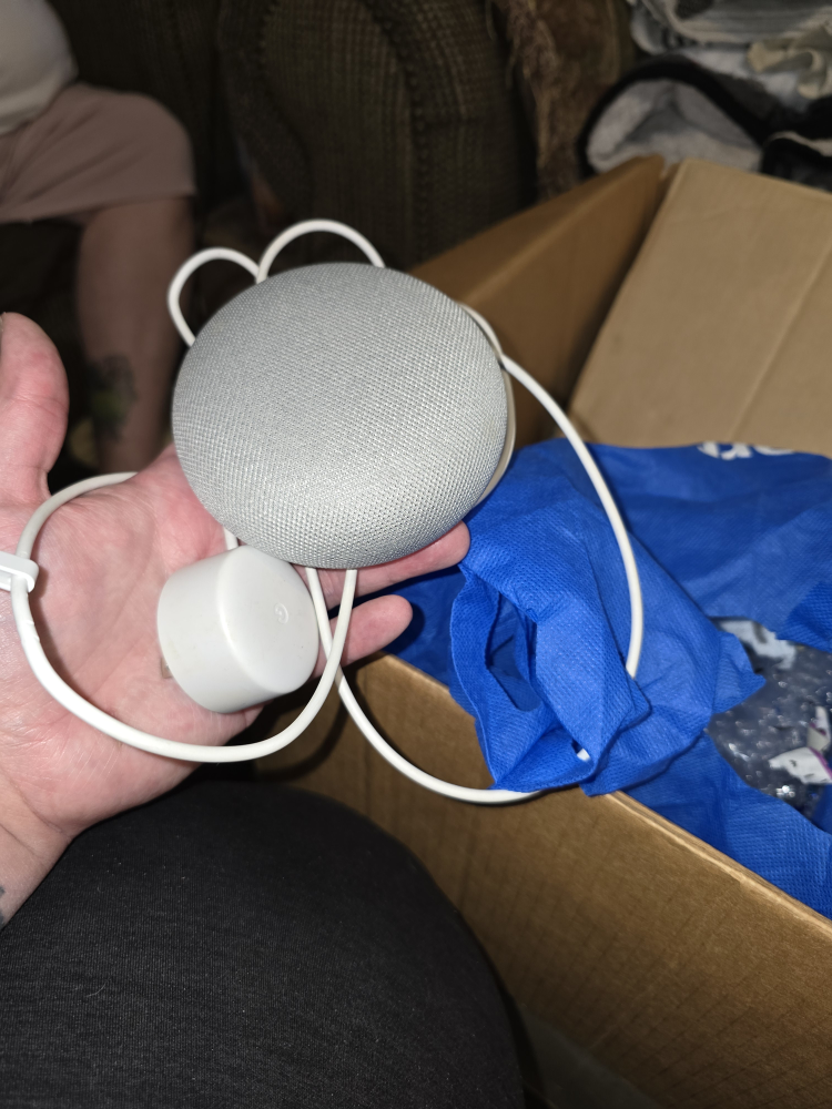 Google home mini