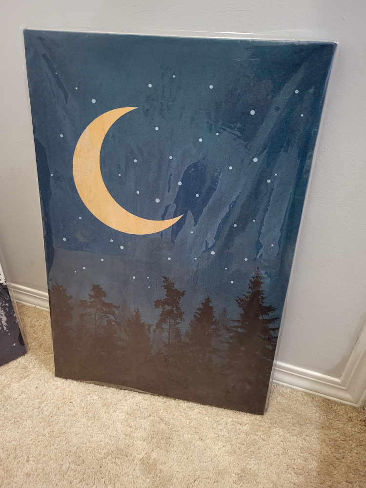 3 panel boho canvas wall art set image indicator(4)