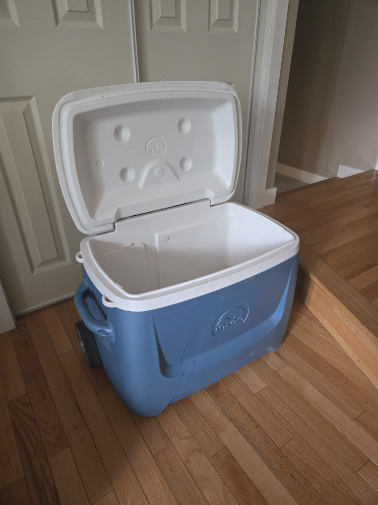 Igloo Cooler(Used)