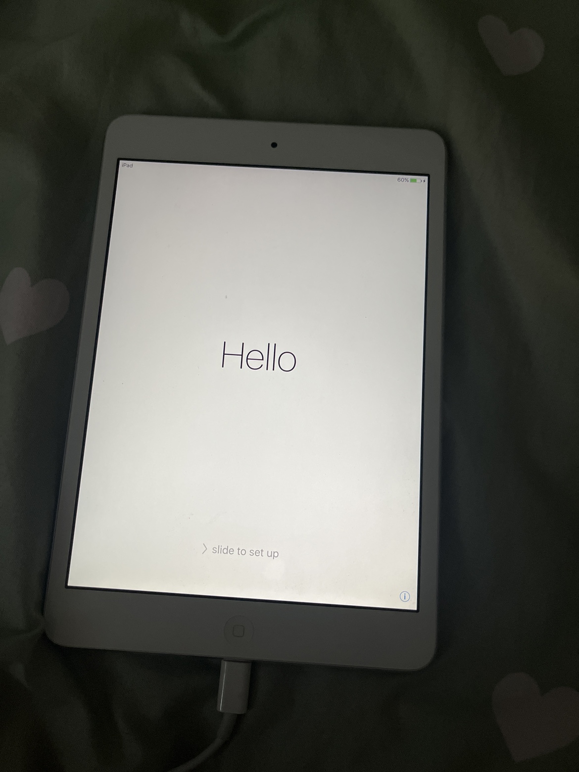 ipad mini 2 retina