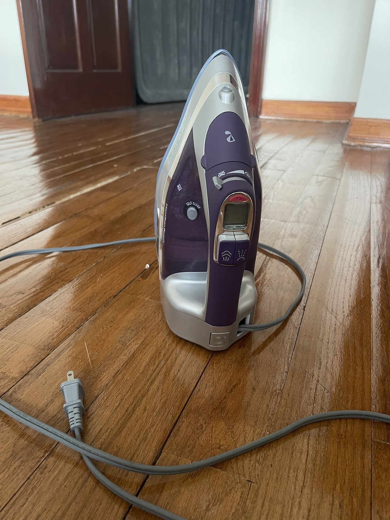 Steam iron
