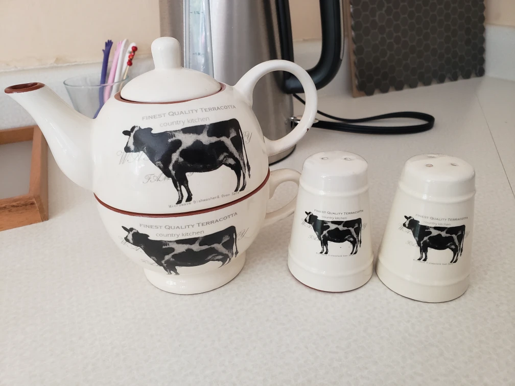 Terracotta Teapot Set + Salt & Pepper Shaker - photo 4