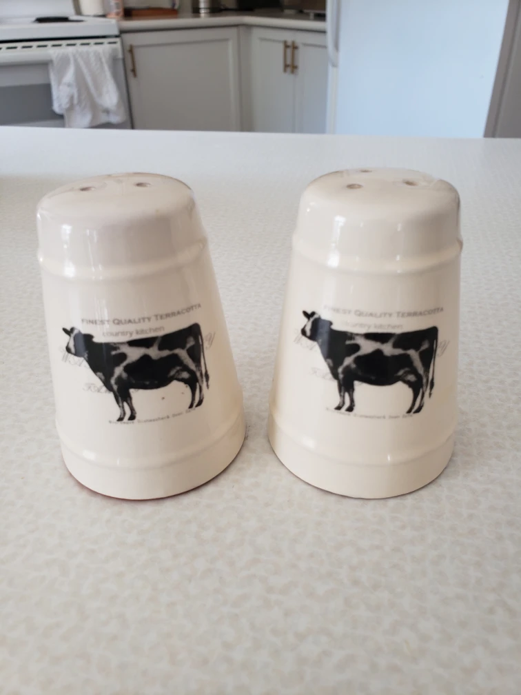 Terracotta Teapot Set + Salt & Pepper Shaker - photo 5