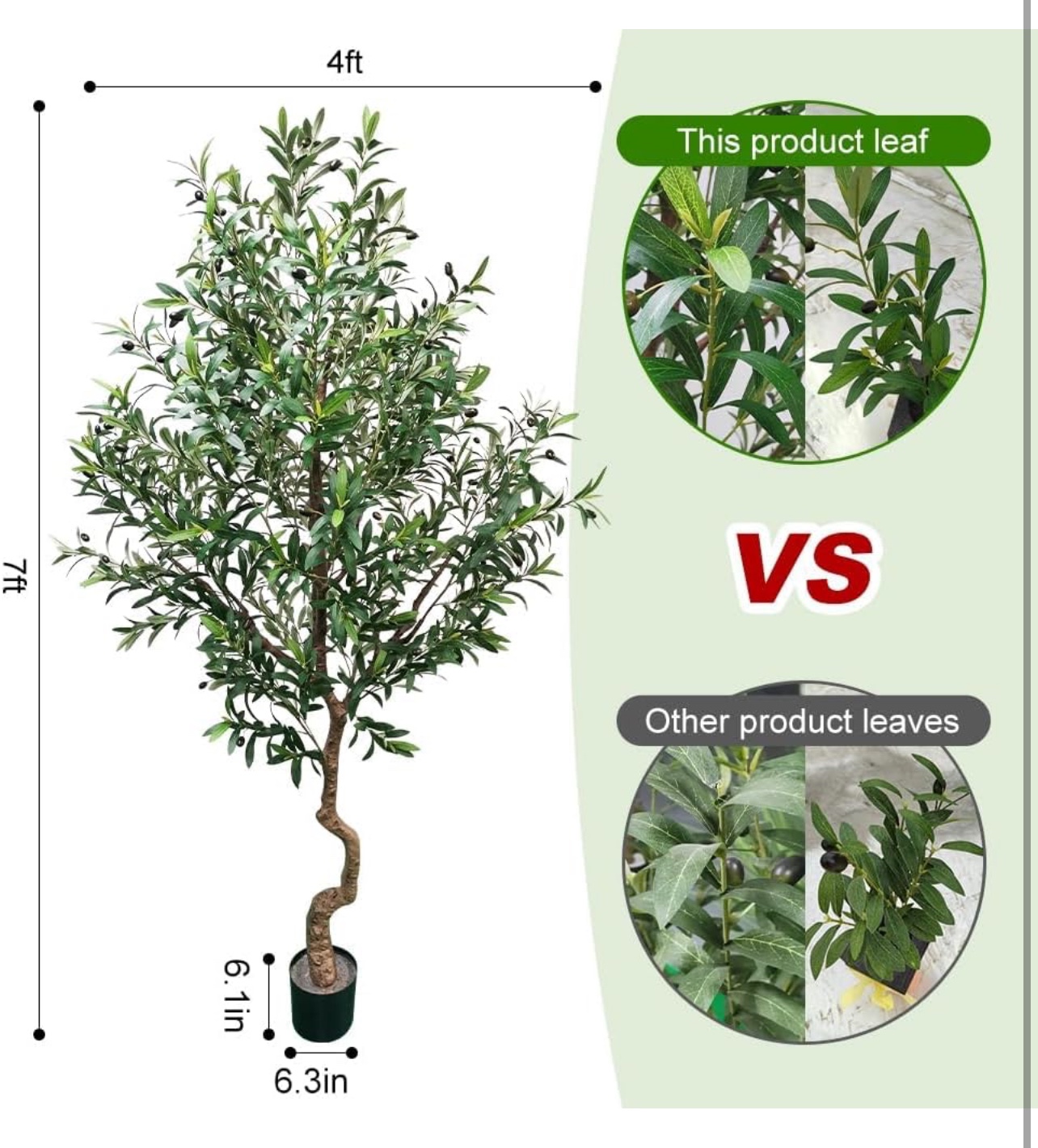 Olive tree - photo 3