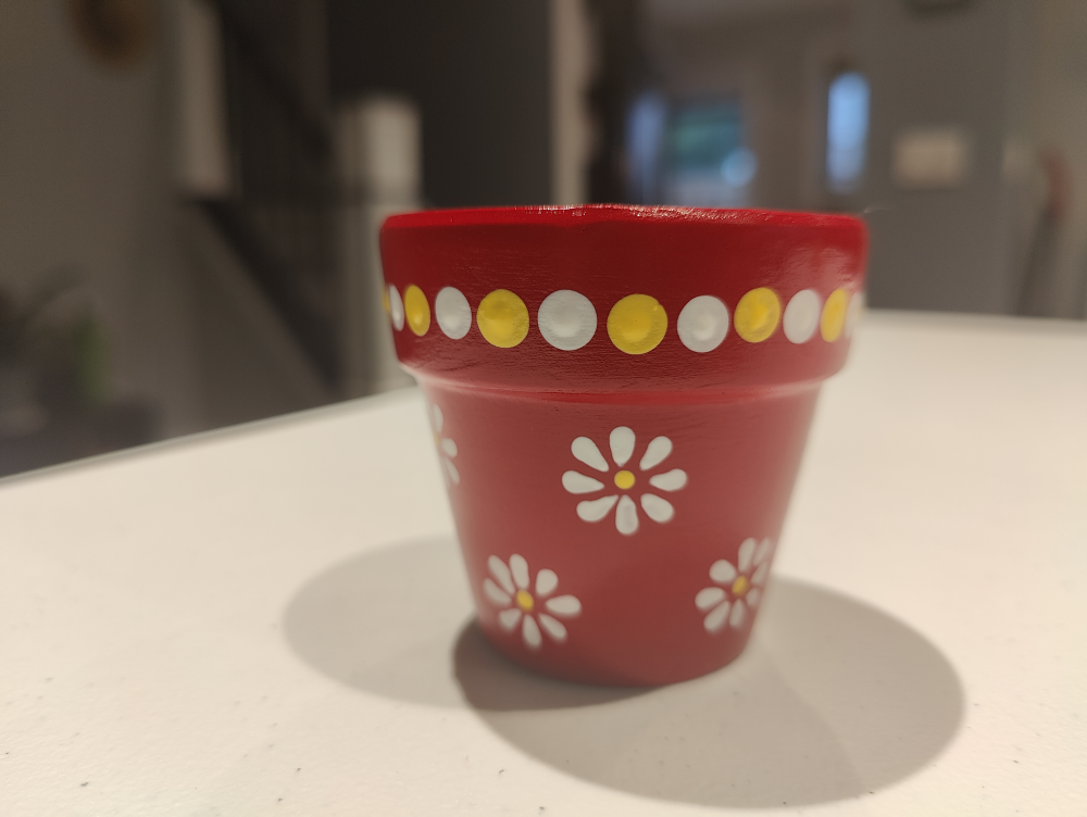 Hand painted pots - photo 3