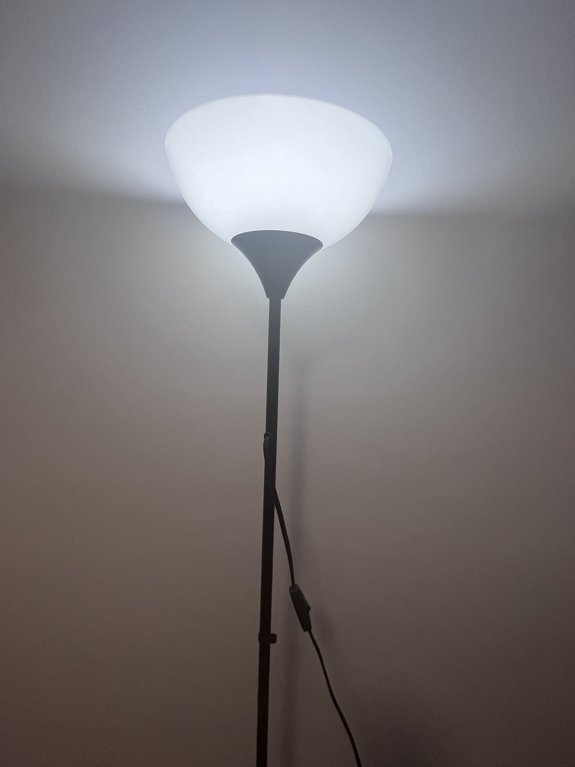 Tall lamp with bulb