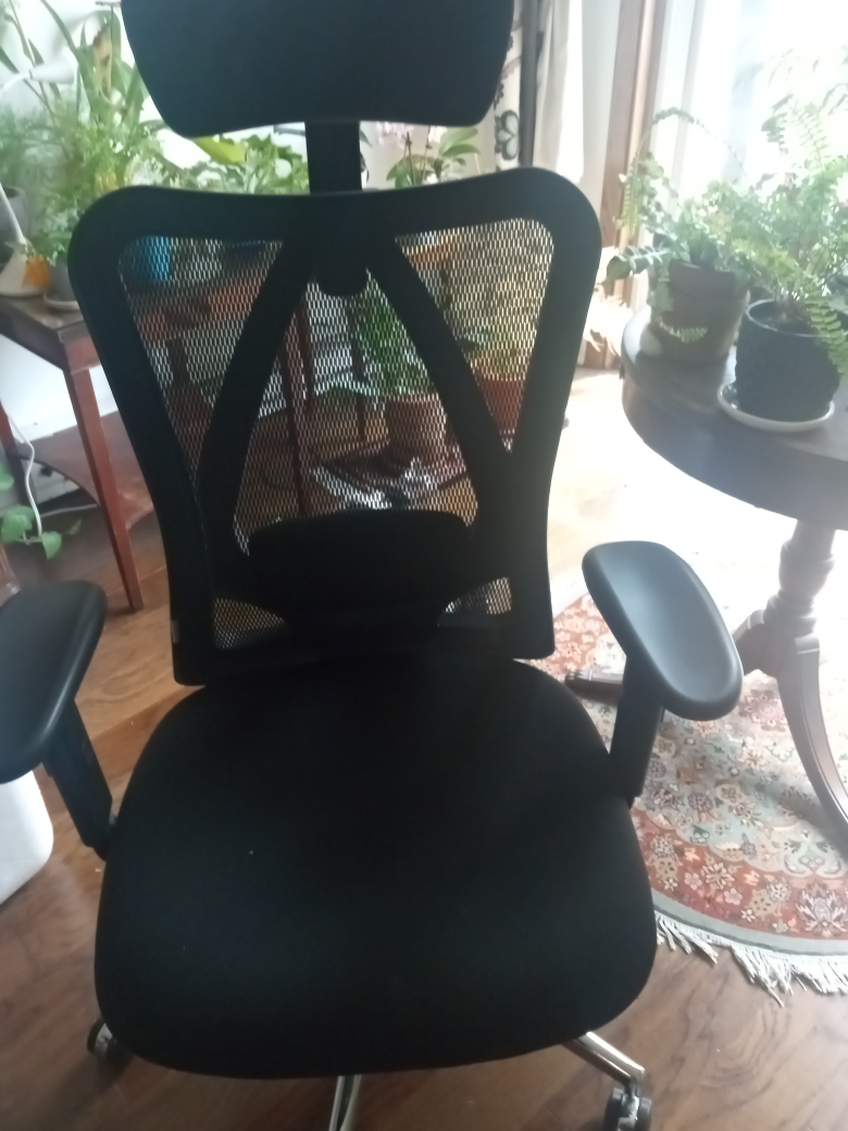 Black Canvas And Nylon Office chair