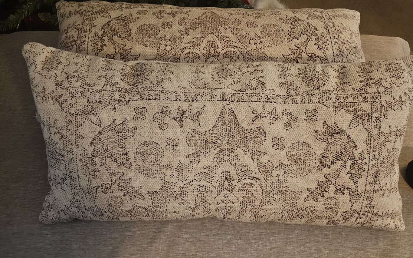 2 decorative throw pillows