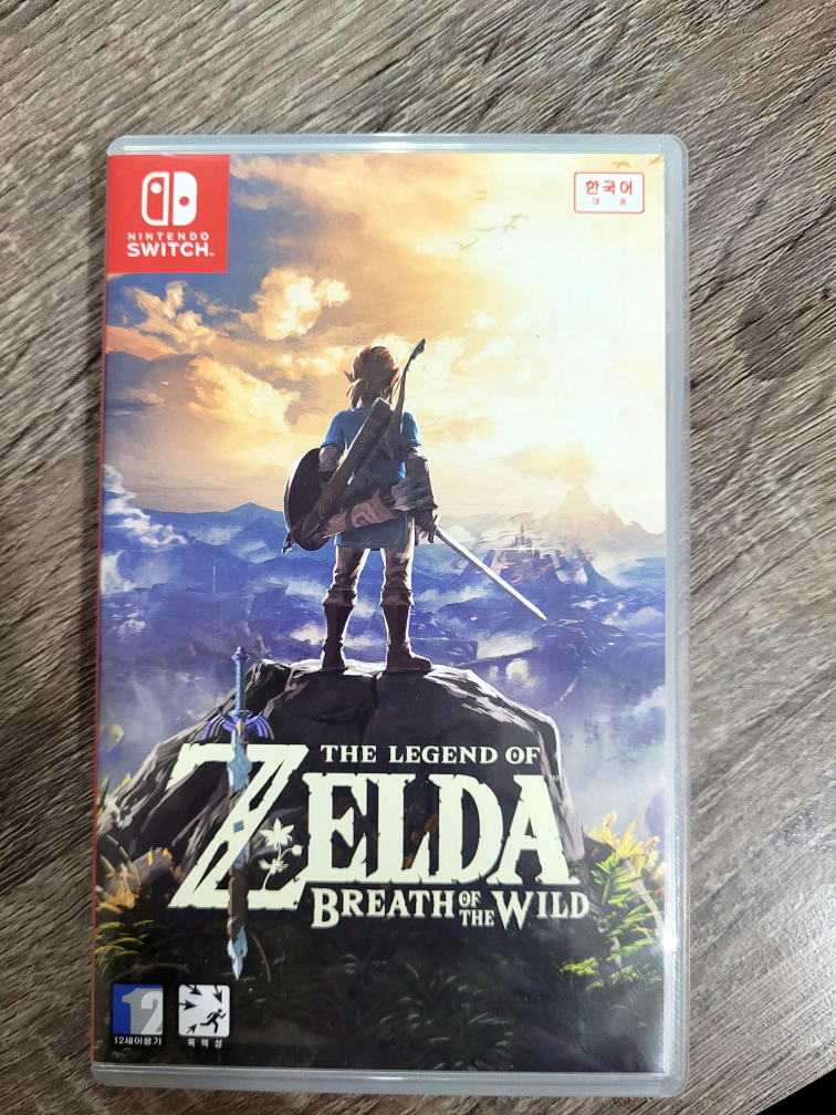 NINTENDO SWITCH ZELDA BREATH OF THE WILD