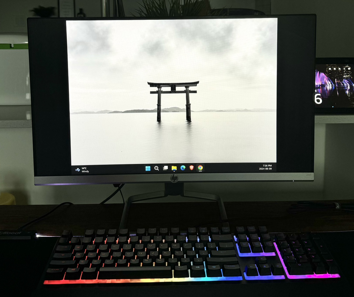 HP 24-inch LED monitor