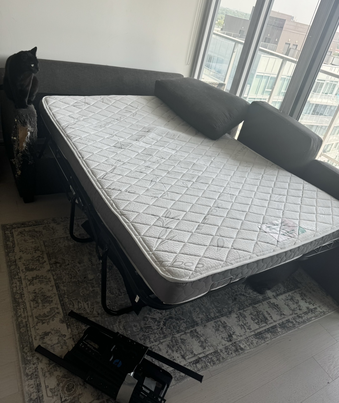 FREE pull out sofa bed
