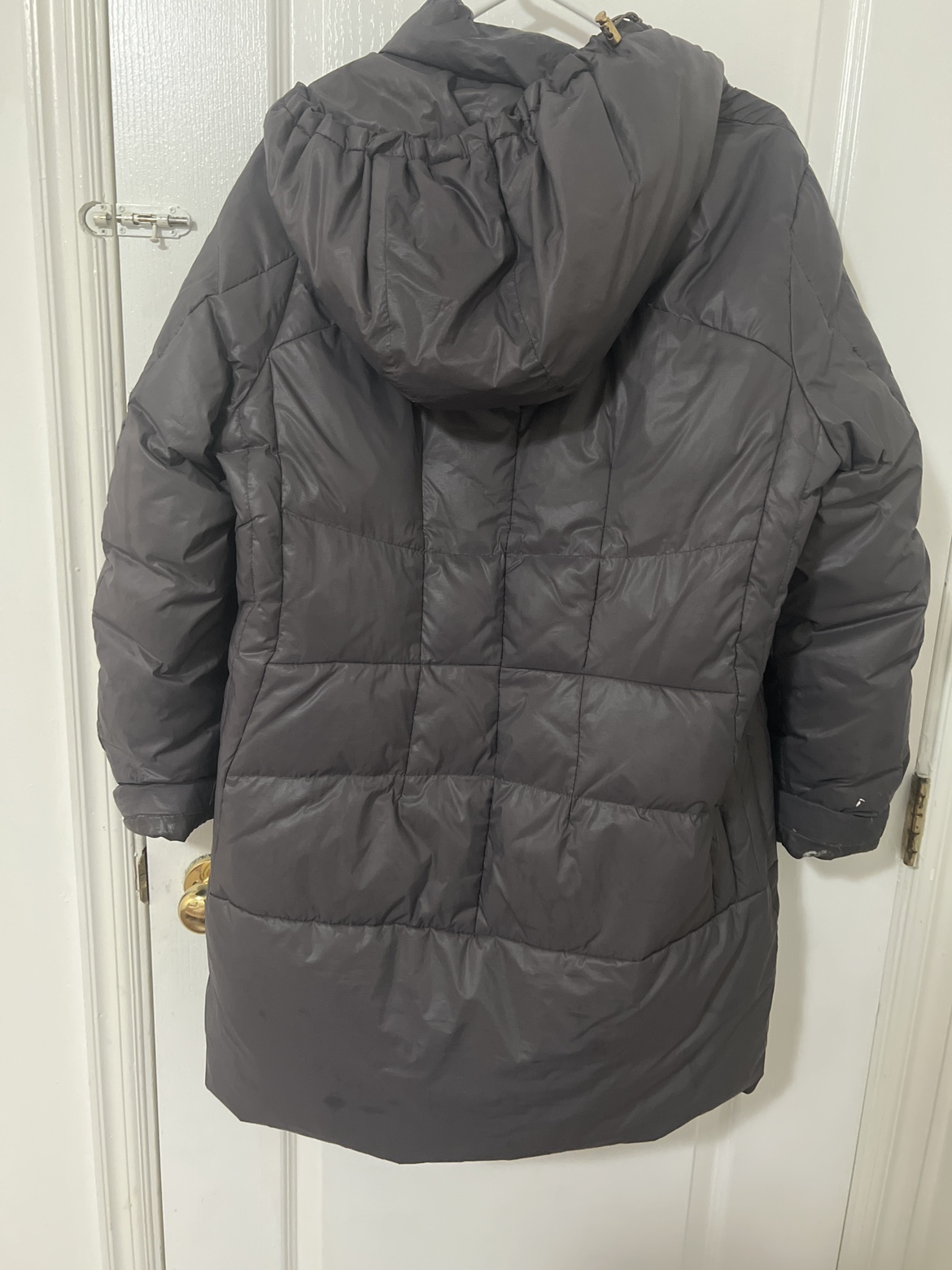 Free jacket image indicator(3)