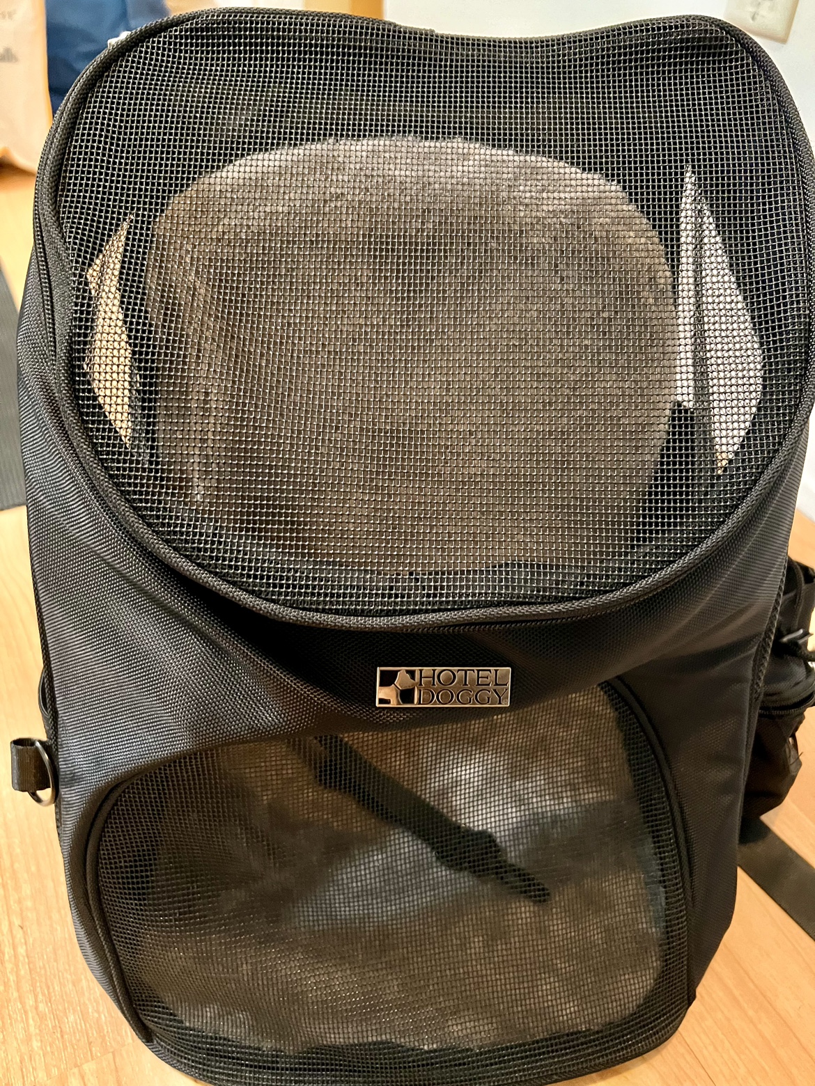 Puppy/small dog/cat backpack carrier