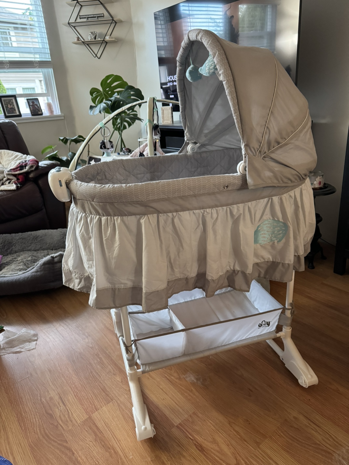 Bily Rocking Bassinet thumbnail