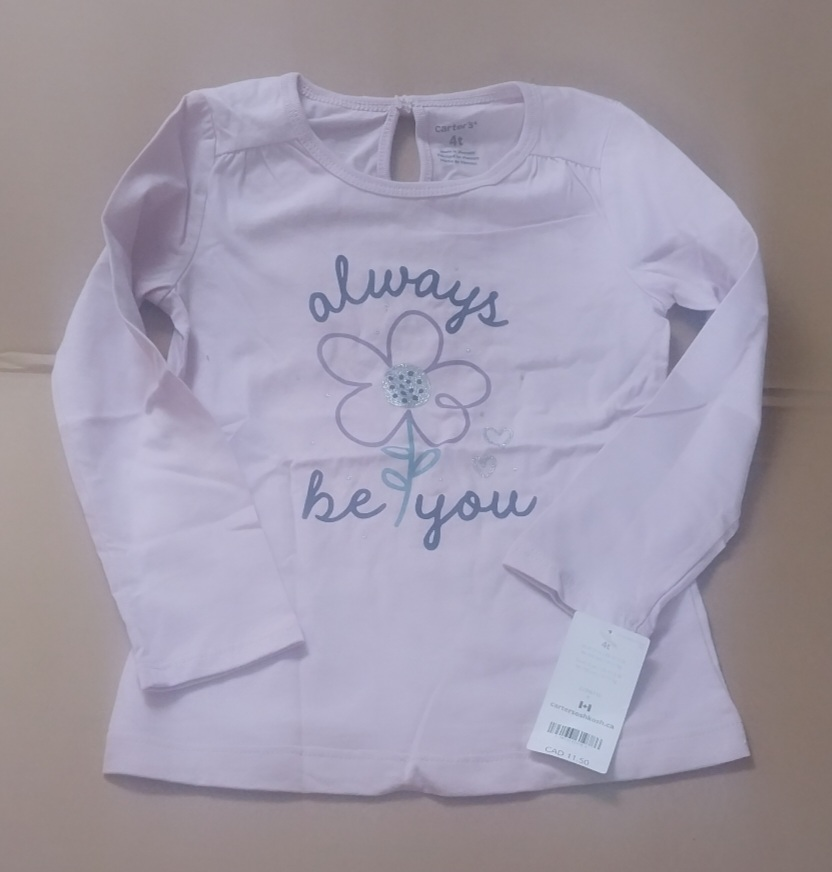 Girls Bundle Clothing - size 4T - Carter Brand image indicator(8)