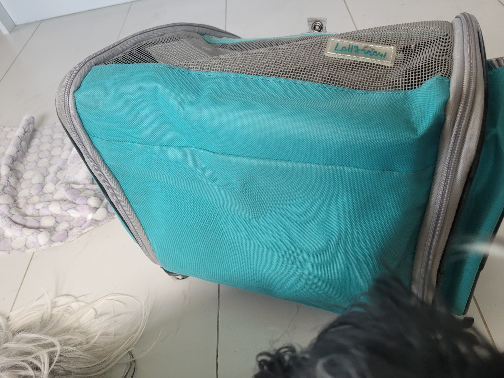 dog backpack (moving sale) - photo 5