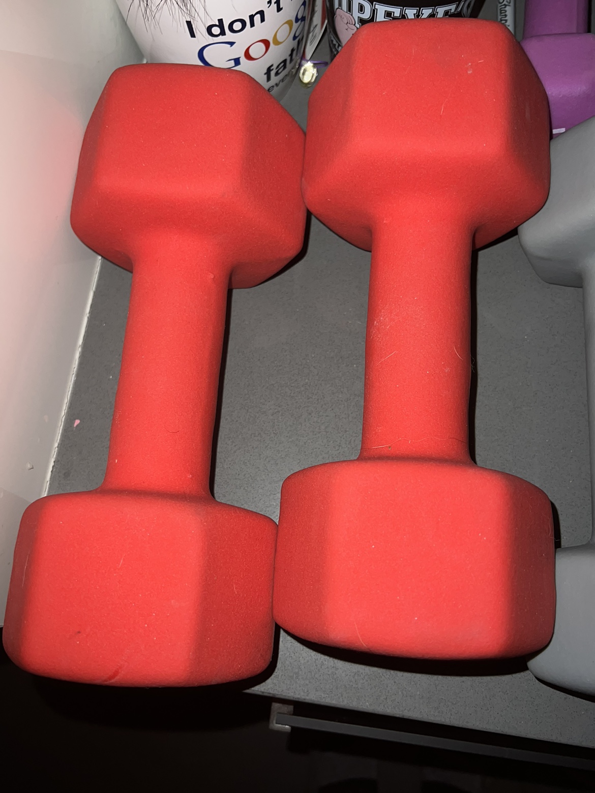 Two 20lb dumbbells