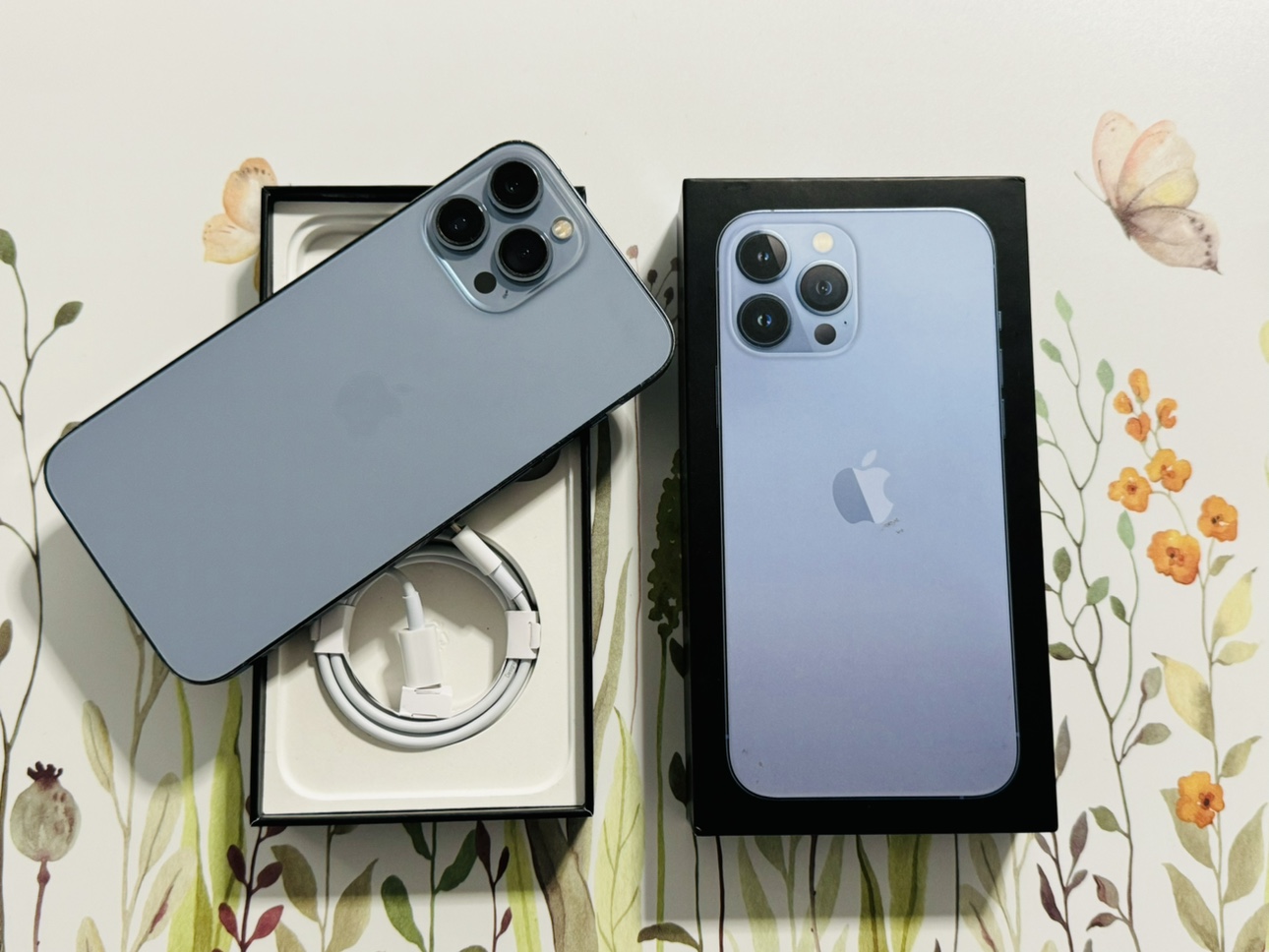 iPhone 13 pro max ソラタロウ iPhone 13 pro max ソラタロウ EvoArt - Apple iPhone 13 Pro