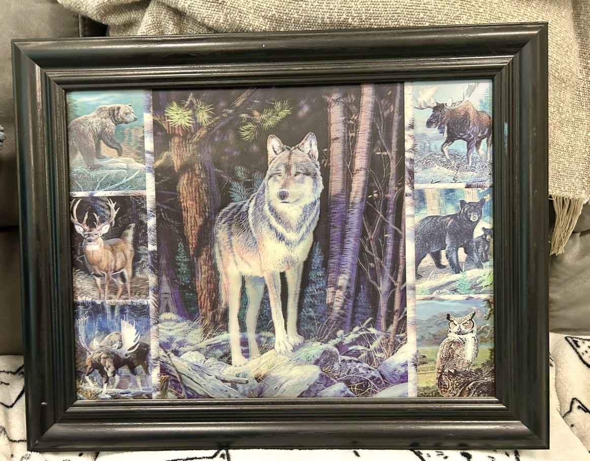 #freecycle-Wolf Picture thumbnail