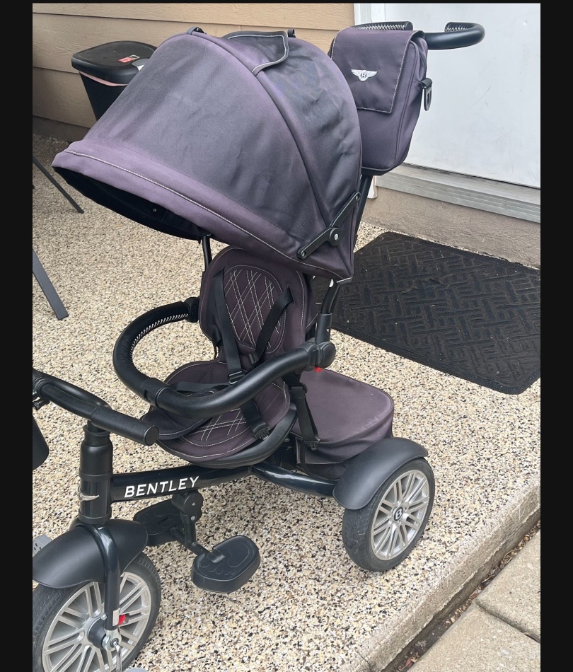 THE BENTLEY 6-IN-1 STROLLER/TRIKE