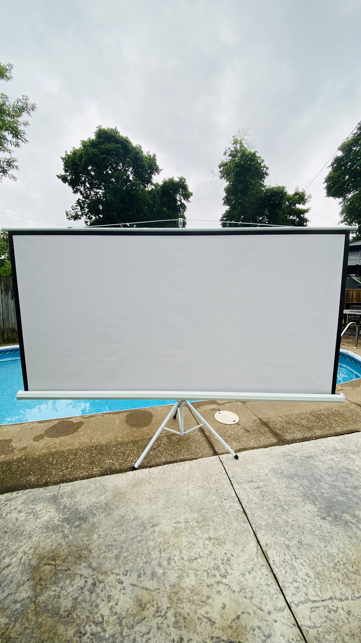 10ft White Projector Screen with Tripod Stand