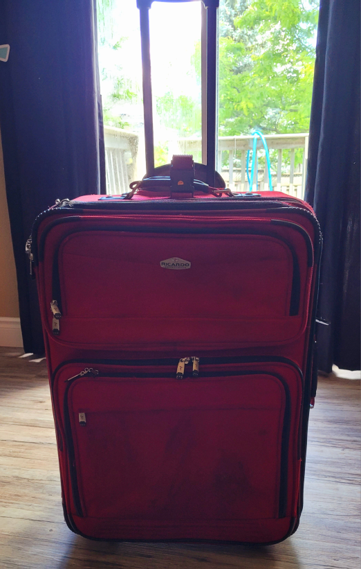 Ricardo Beverly Hills Rolling Suitcase - photo 2