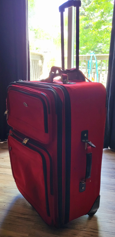 Ricardo Beverly Hills Rolling Suitcase - photo 3