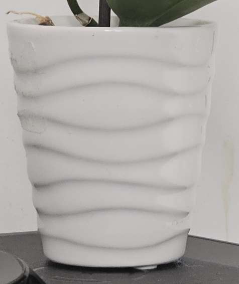 tiny white vase #freecycle thumbnail