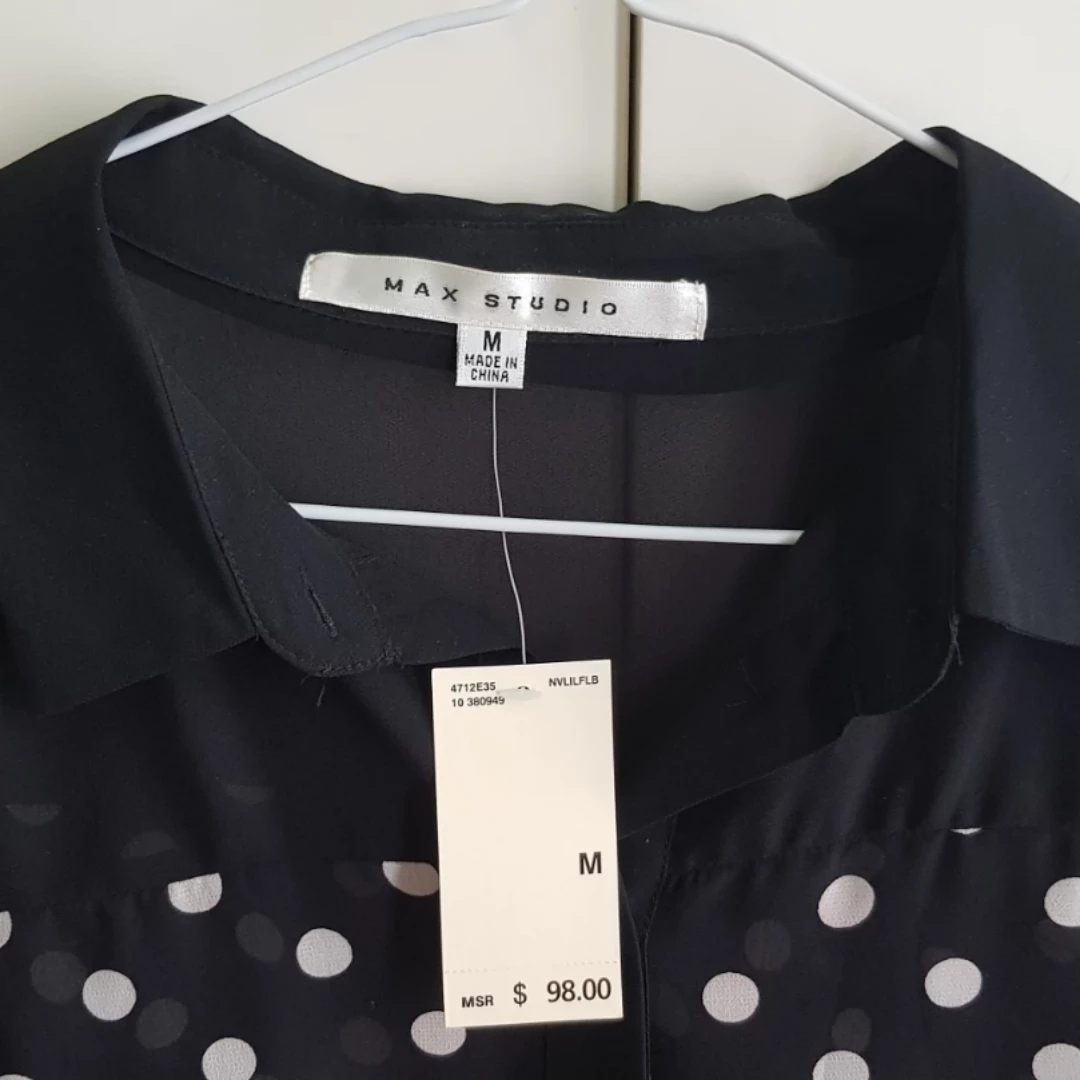 Max Studio Polka Dot Sheer Blouse Medium image indicator(2)