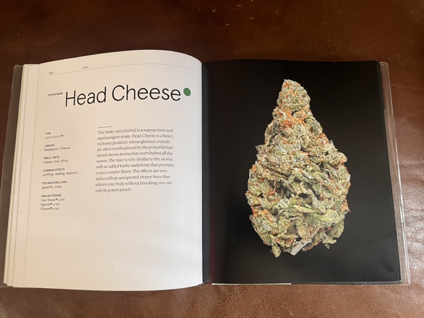 GREEN a field guide to Mari Juana - photo 2