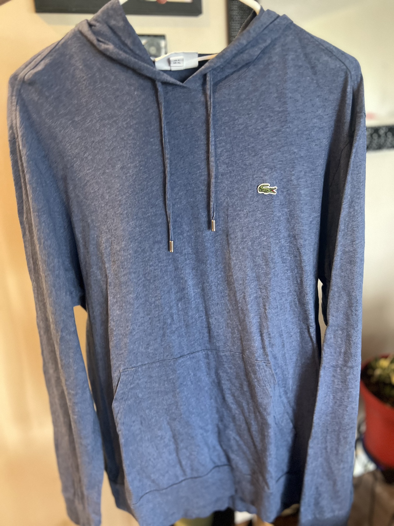 Lacoste hoodie shirt