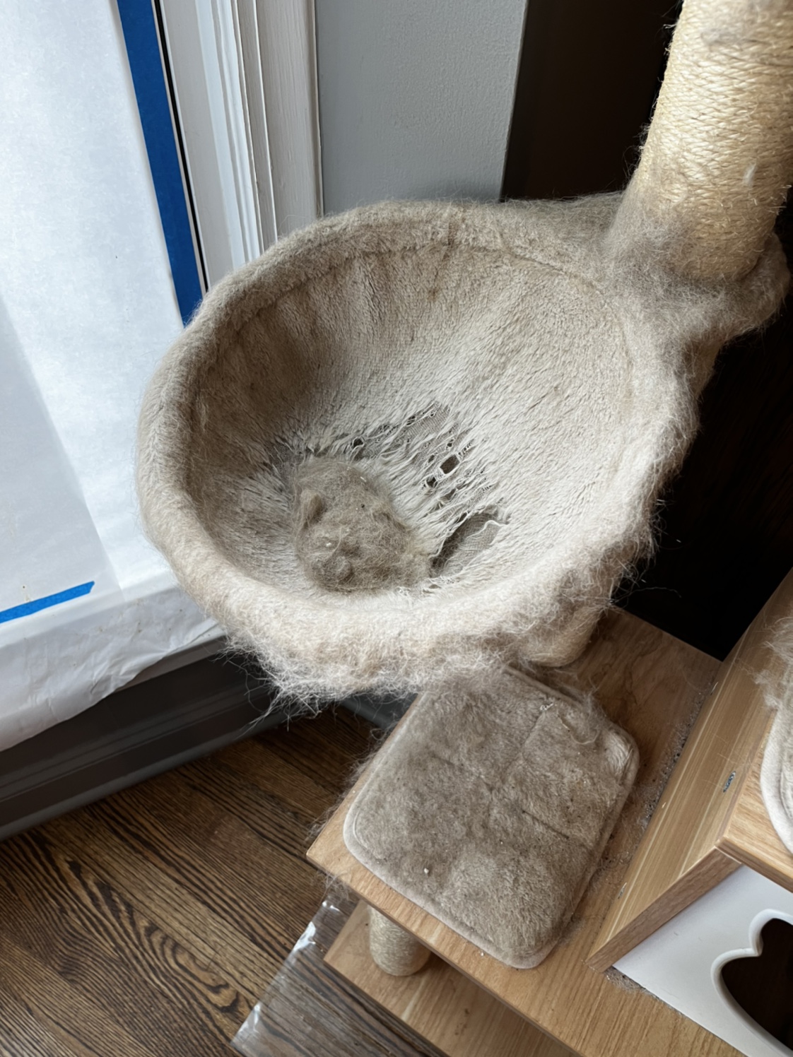 Cat Tower - photo 3