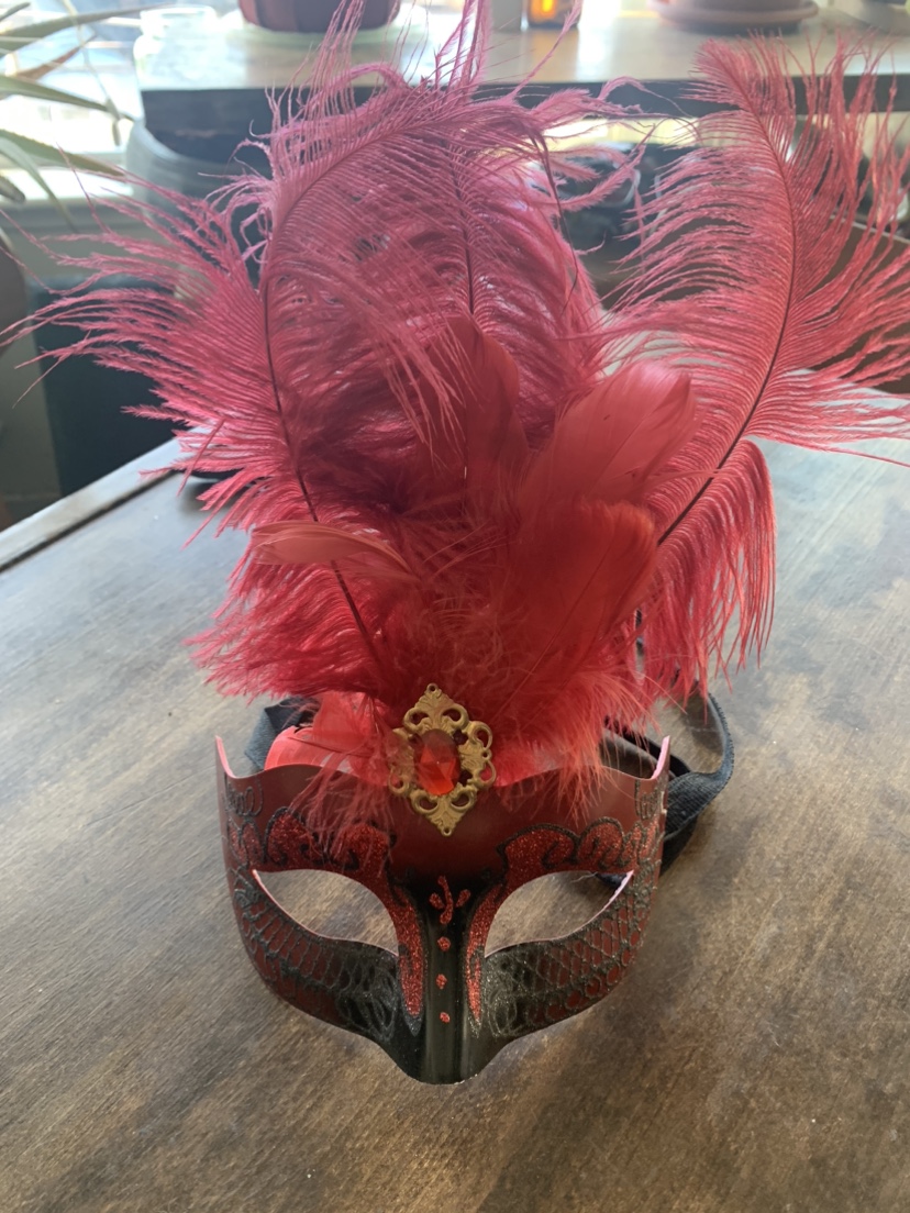 Red feathered Mardi Gras masquerade mask